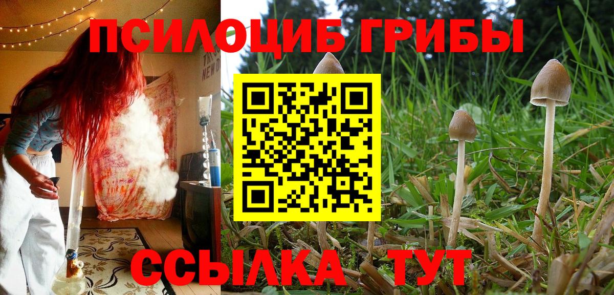 Псилоцибиновые грибы мицелий Ростов-на-Дону